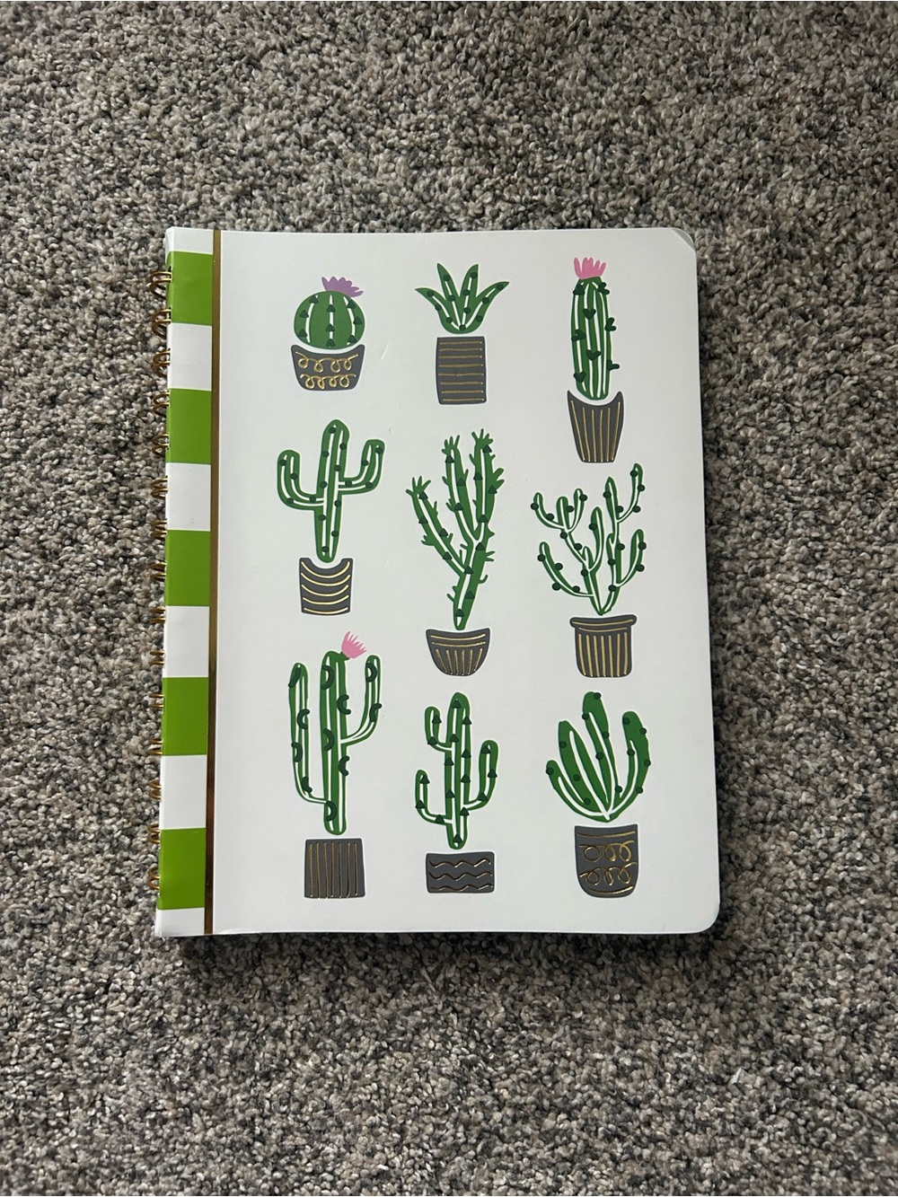 Cactus Pattern Spiral Notebook — Green